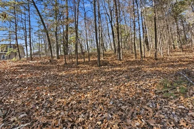 a view of a backyard of the house