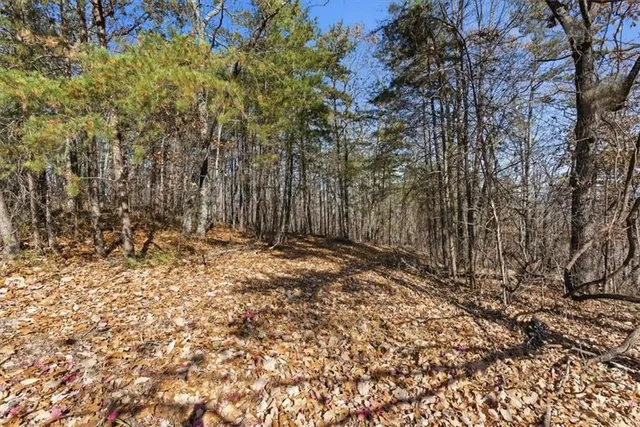 a view of wooden fence and trees