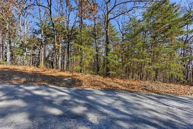 a view of a yard with wooden fence