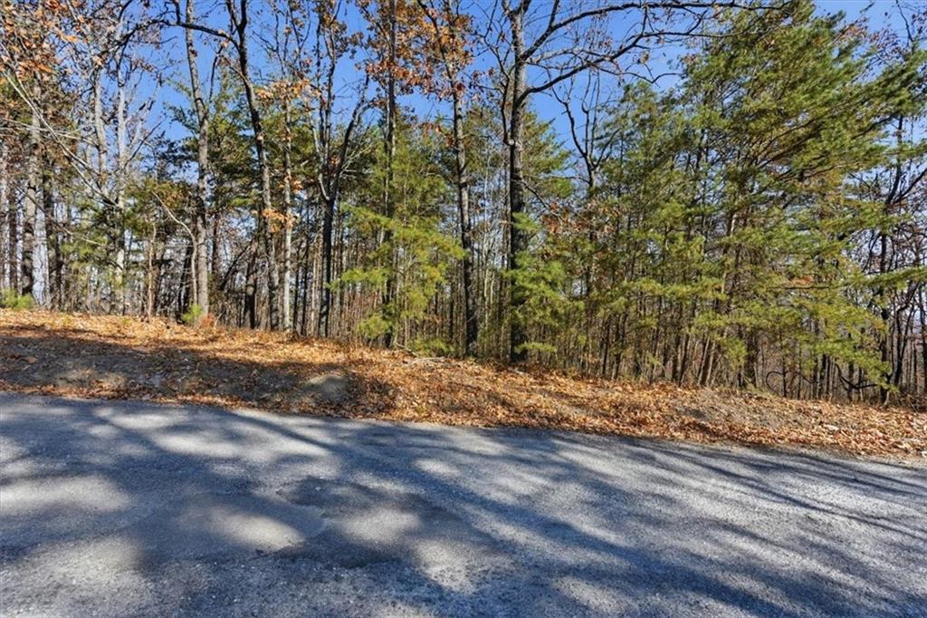 1166 Hunter Drive Ranger, GA 30734 - Photo 5 of 43 a view of a yard with wooden fence