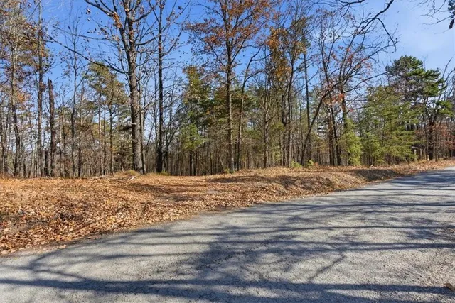 a view of a yard with trees
