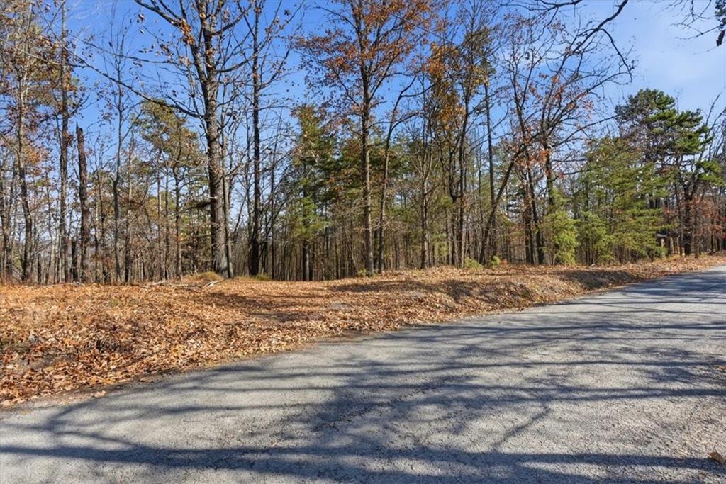 1166 Hunter Drive Ranger, GA 30734 - Photo 6 of 43 a view of a yard with trees