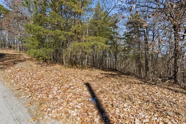 a view of a yard with trees