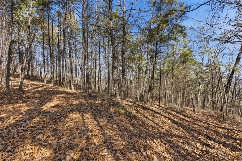 1166 Hunter Drive Ranger, GA 30734 - Photo 9 of 43 a view of wooden fence