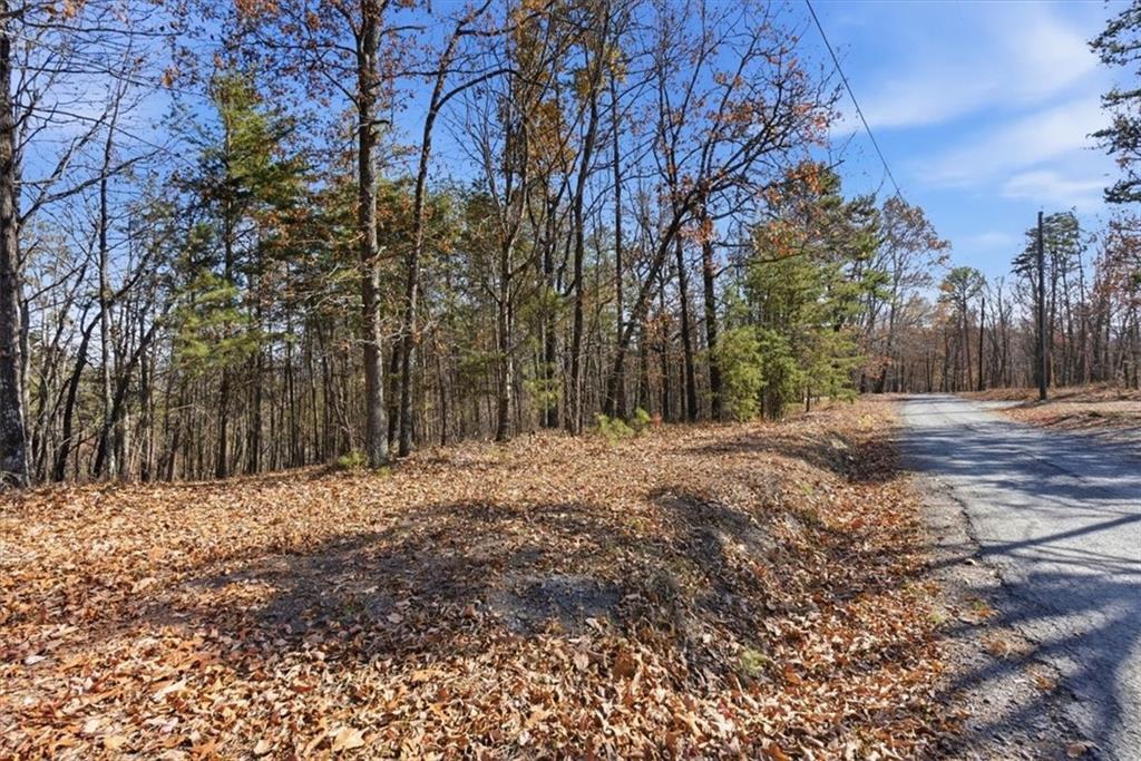 1166 Hunter Drive Ranger, GA 30734 - Photo 10 of 43 a view of dirt yard with a large tree