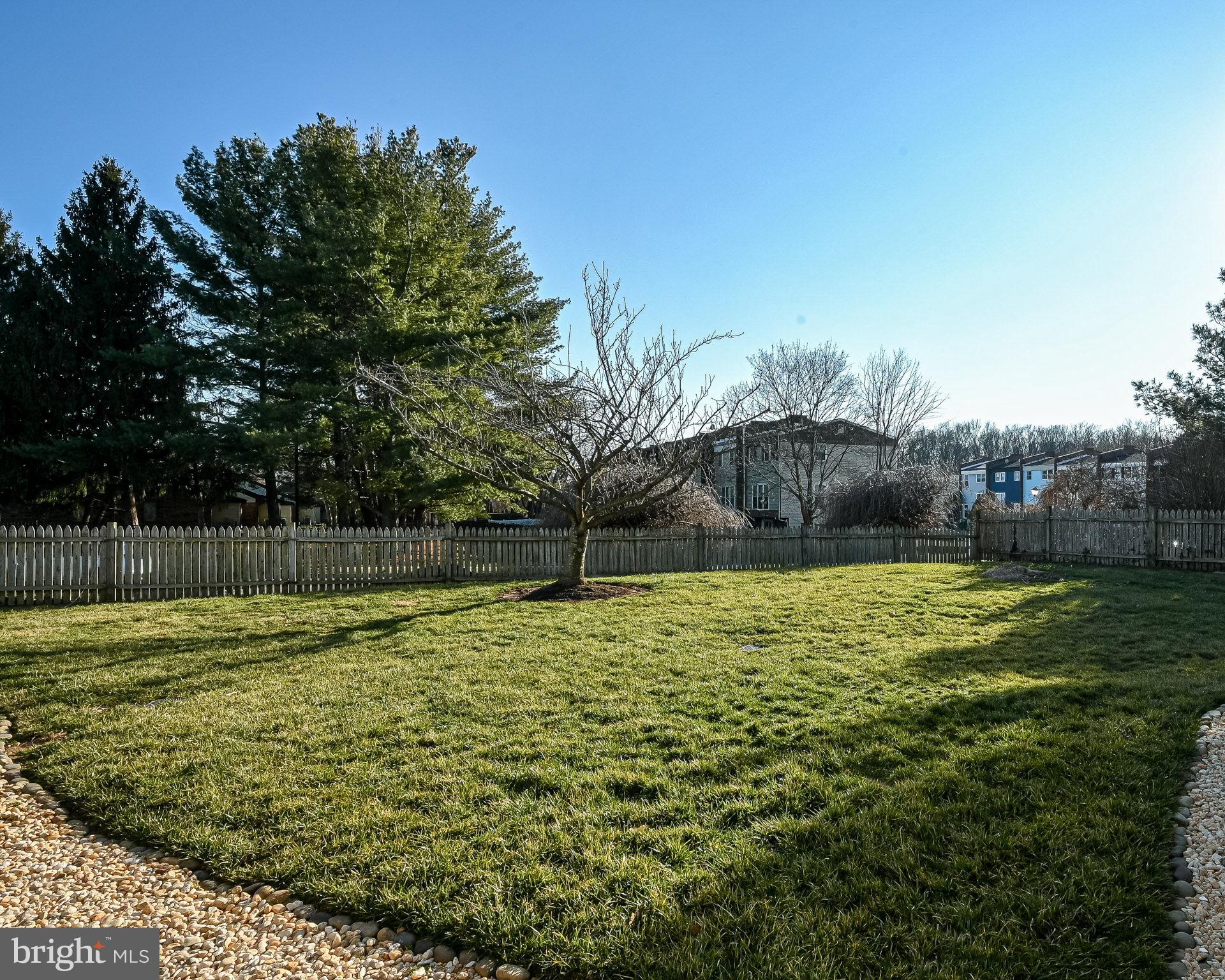 48 East Village Road Newark, DE 19713 - Photo 21 of 25 Great Yard