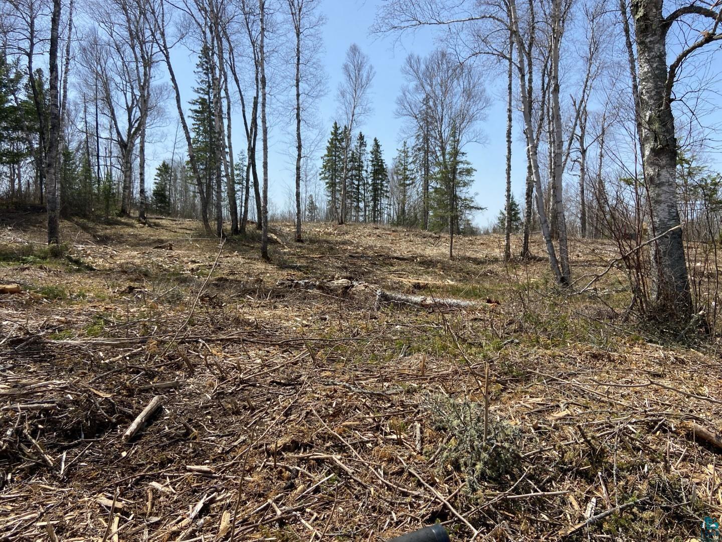 2102-14 Bear Lake Road Duluth, MN 55803 - Photo 8 of 25