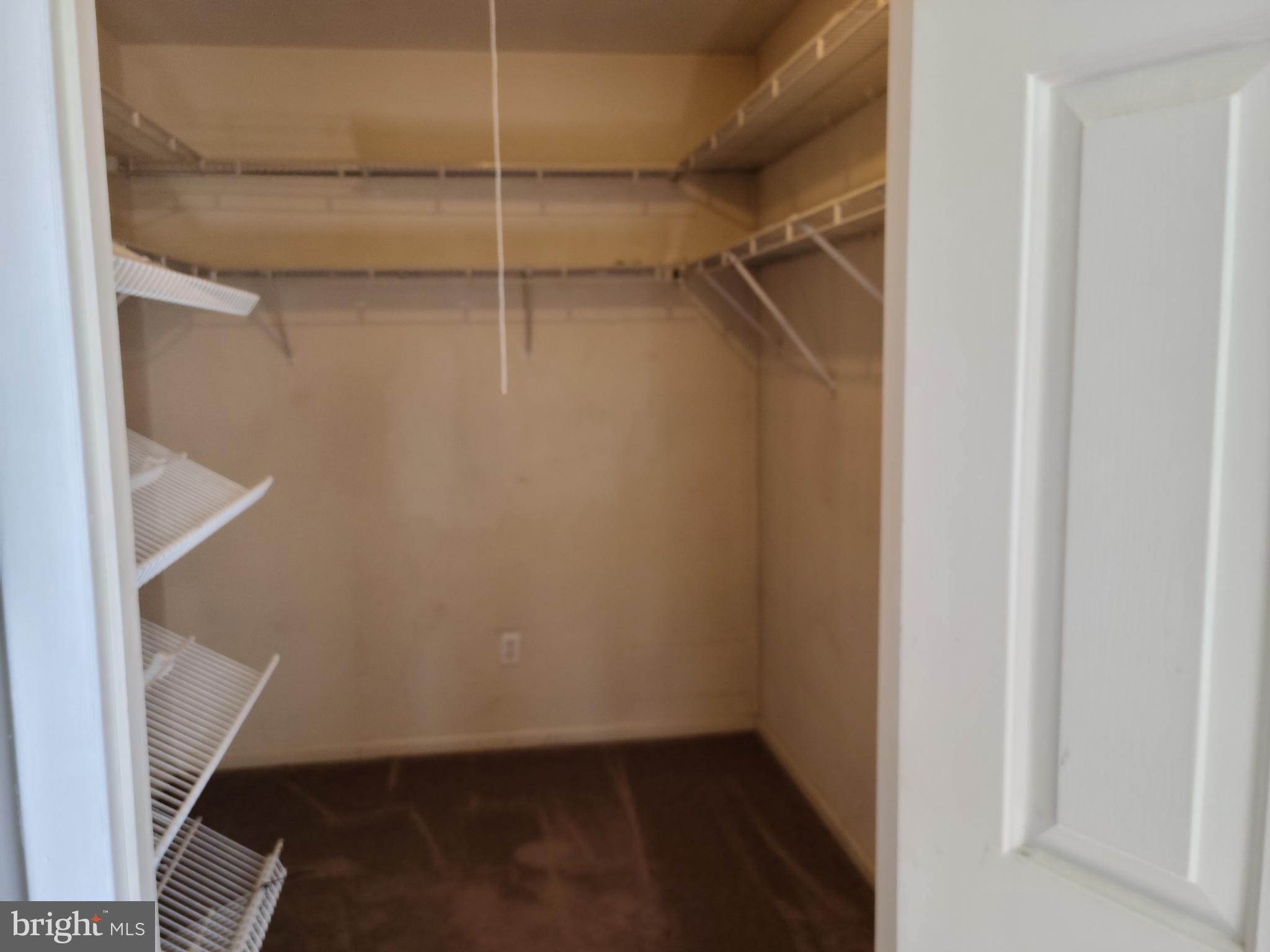 116 Ashley Run Voorhees, NJ 08043 - Photo 27 of 32 walk-in closet