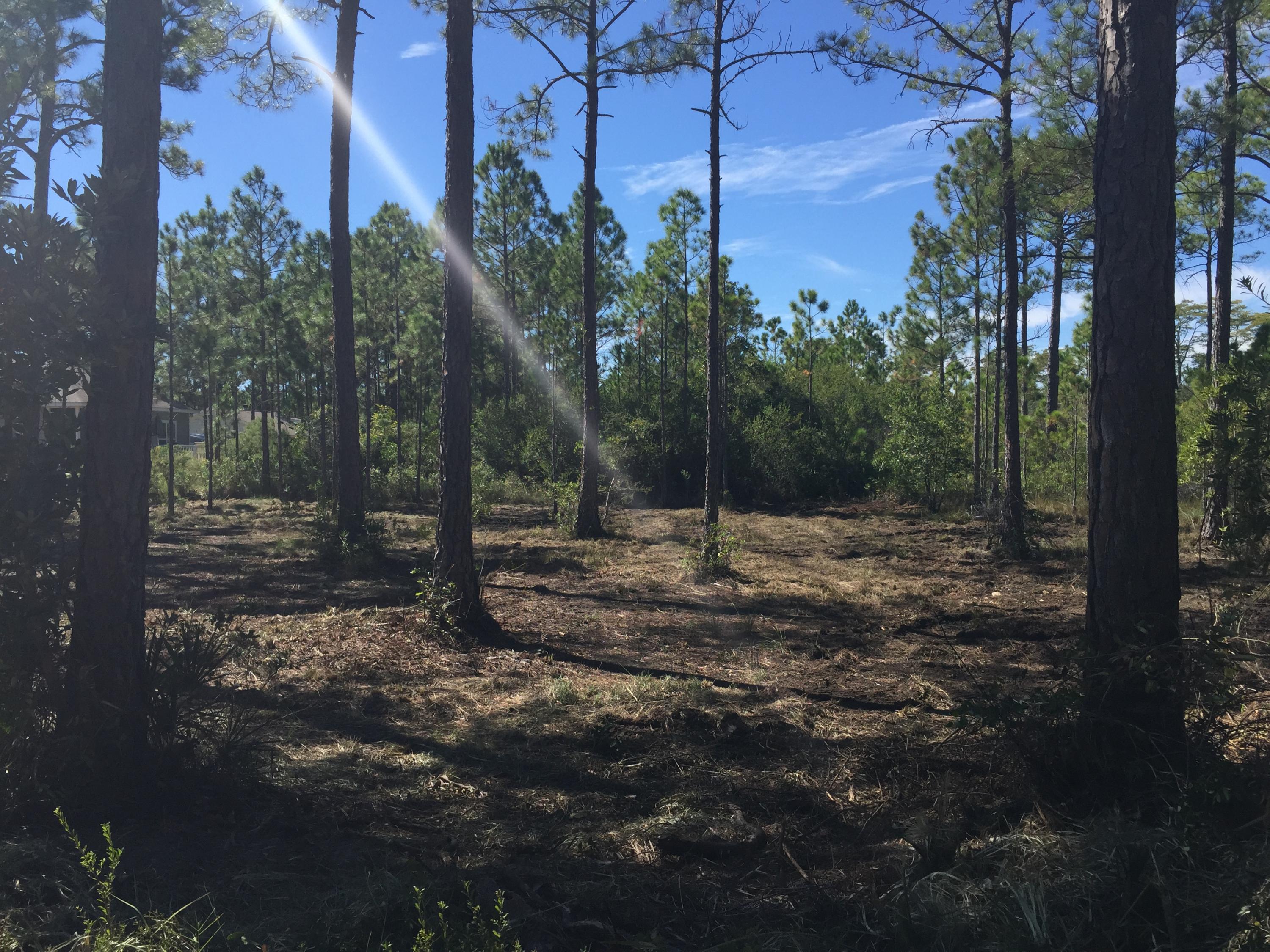 0 Louis Road Santa Rosa Beach, FL 32459 - Photo 3 of 7 Gallery Image 3