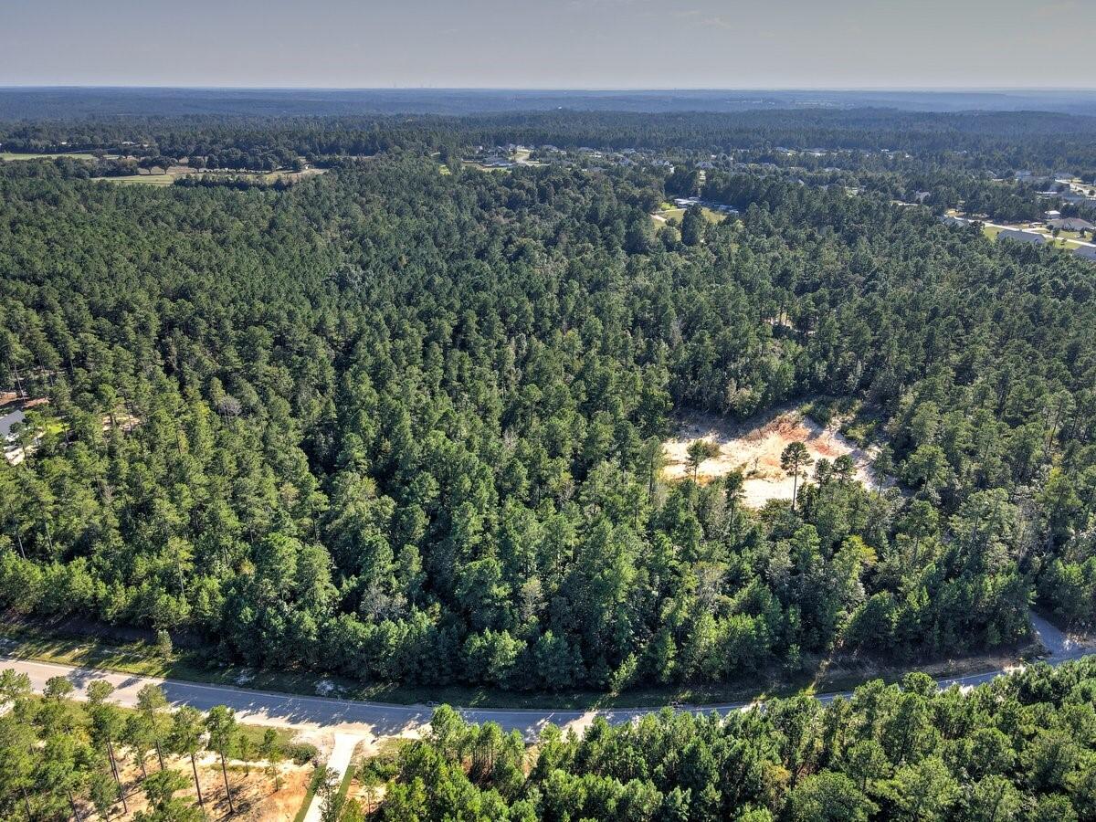 Lot 7 Anderson Pond Road Wagener, SC 29164 - Photo 4 of 7