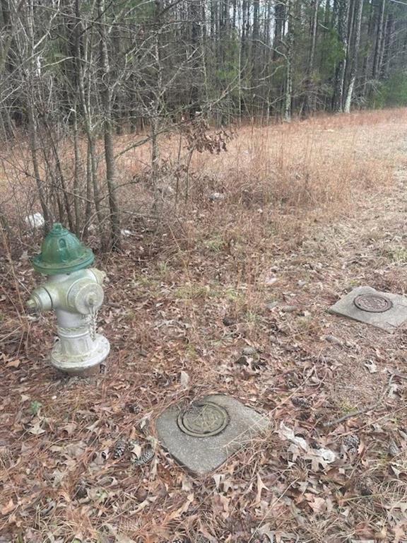 4000 Danielsville Road Athens, GA 30601 - Photo 5 of 5