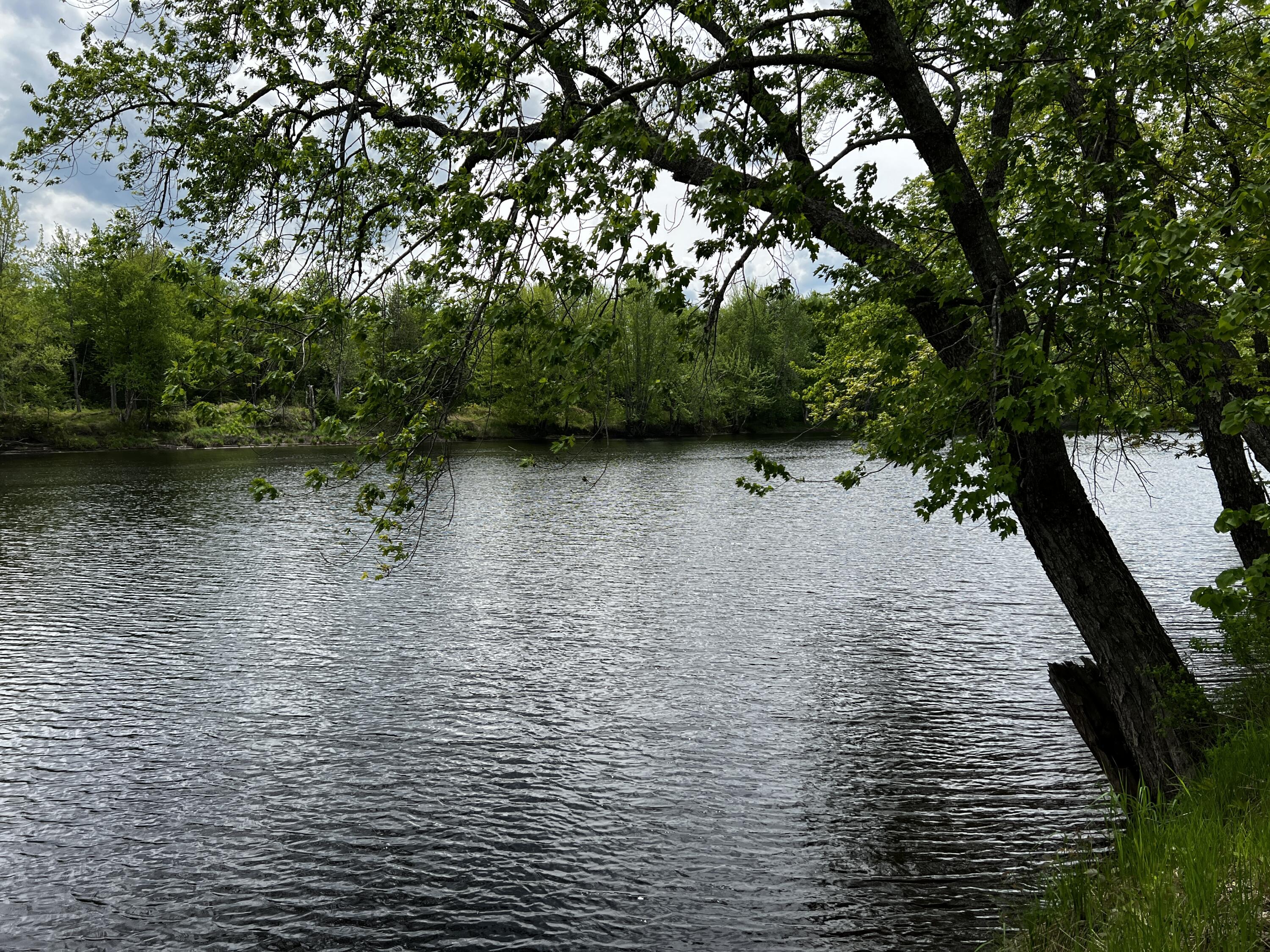 Lot 6 Emery Farm Road Medford, ME 04463 - Photo 6 of 27 IMG_4251
