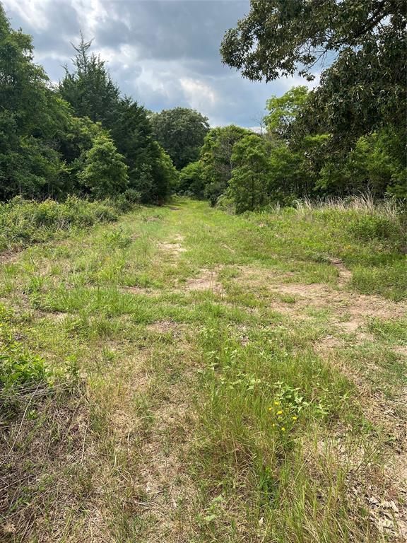 4112 VZ County Road Canton, TX 75103 - Photo 20 of 21
