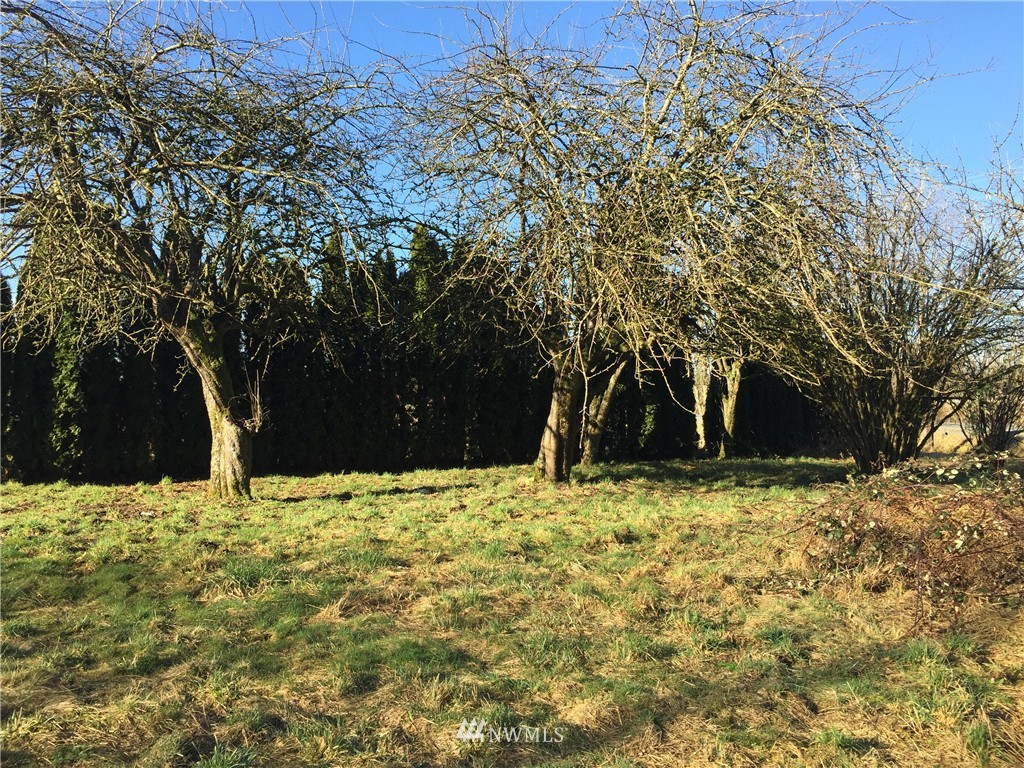 26364 Minkler Road Sedro-Woolley, WA 98284 - Photo 19 of 22