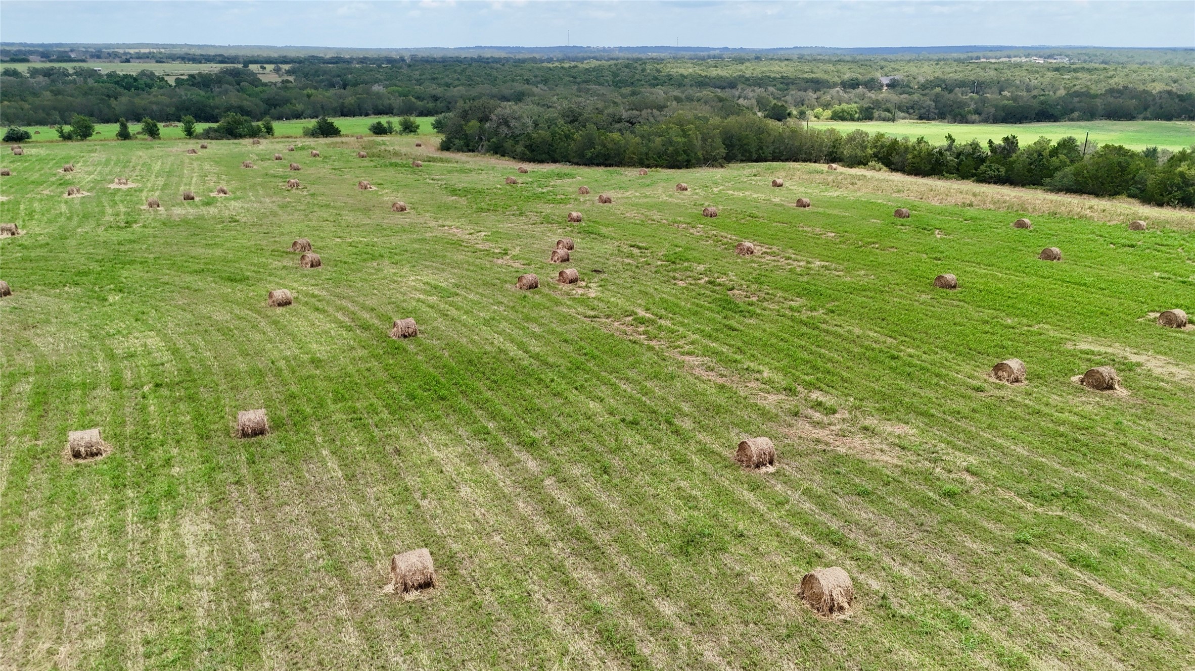 205 St Delight Road Paige, TX 78659 - Photo 7 of 7