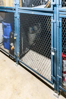 $2,250 | 1560 North Sandburg Terrace, Unit 2007, Chicago, IL 60610