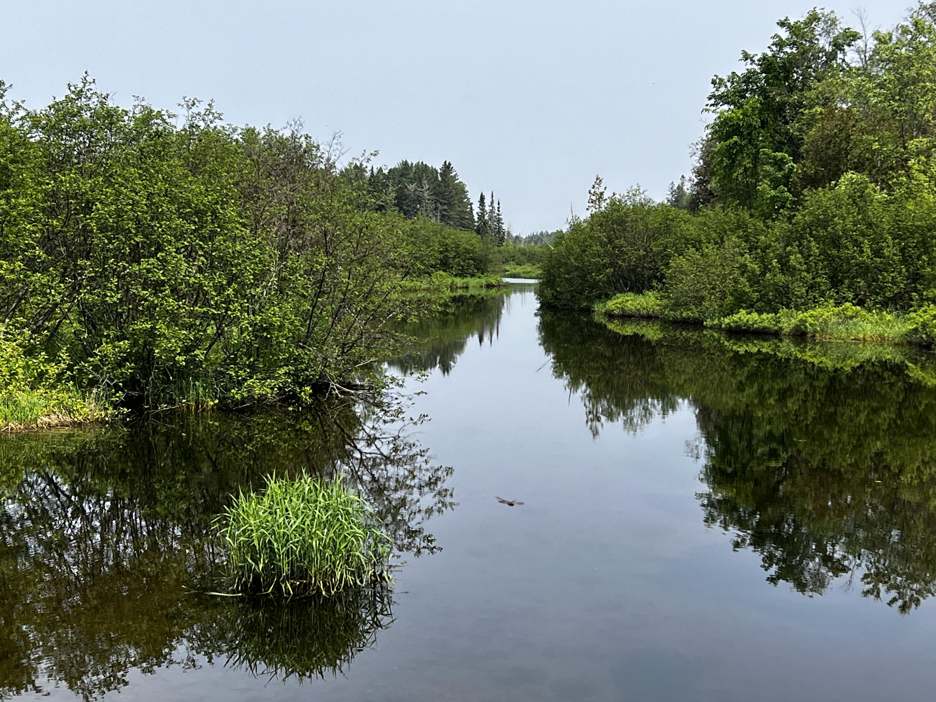 170 Grampys Way Monticello, ME 04760 - Photo 20 of 58 IMG_8369