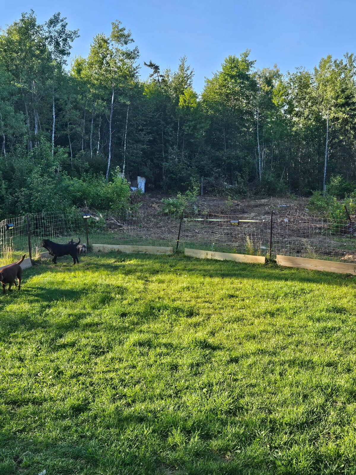 170 Grampys Way Monticello, ME 04760 - Photo 21 of 58 image000001