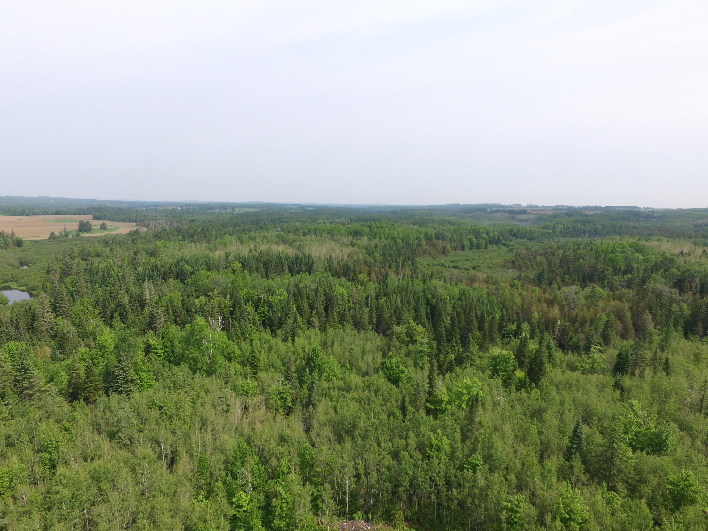 170 Grampys Way Monticello, ME 04760 - Photo 26 of 58 DJI_0035