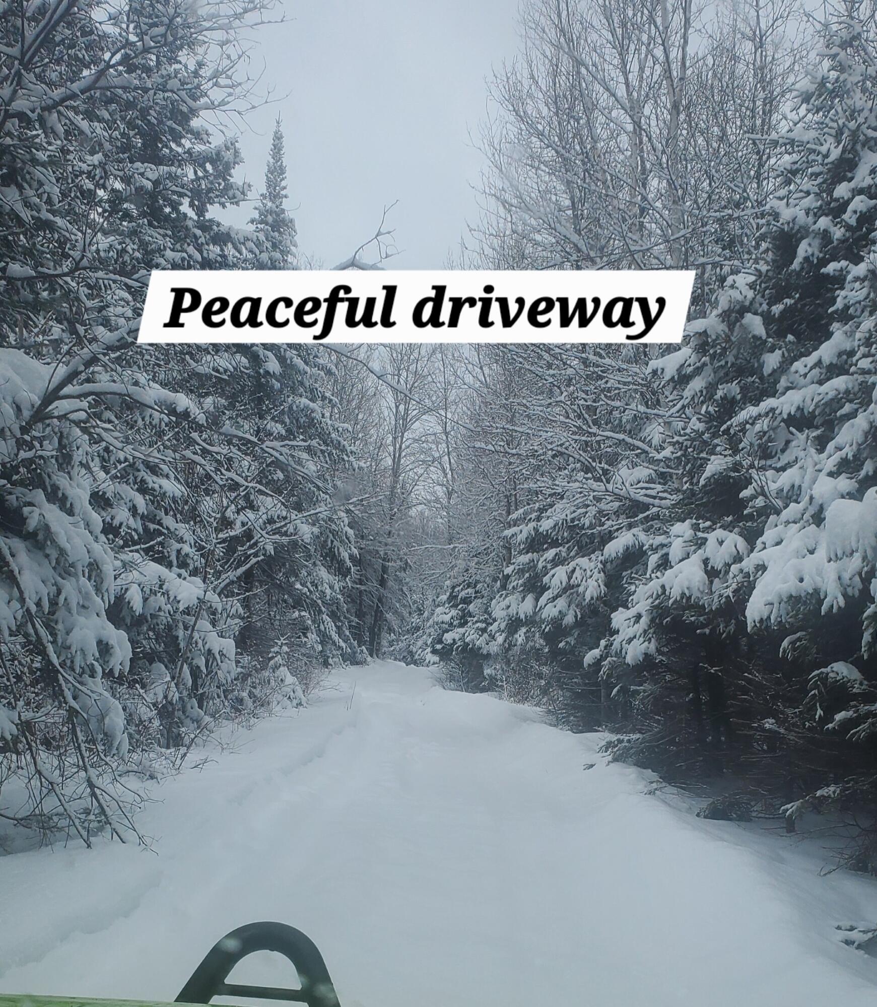 170 Grampys Way Monticello, ME 04760 - Photo 38 of 58 winter driveway