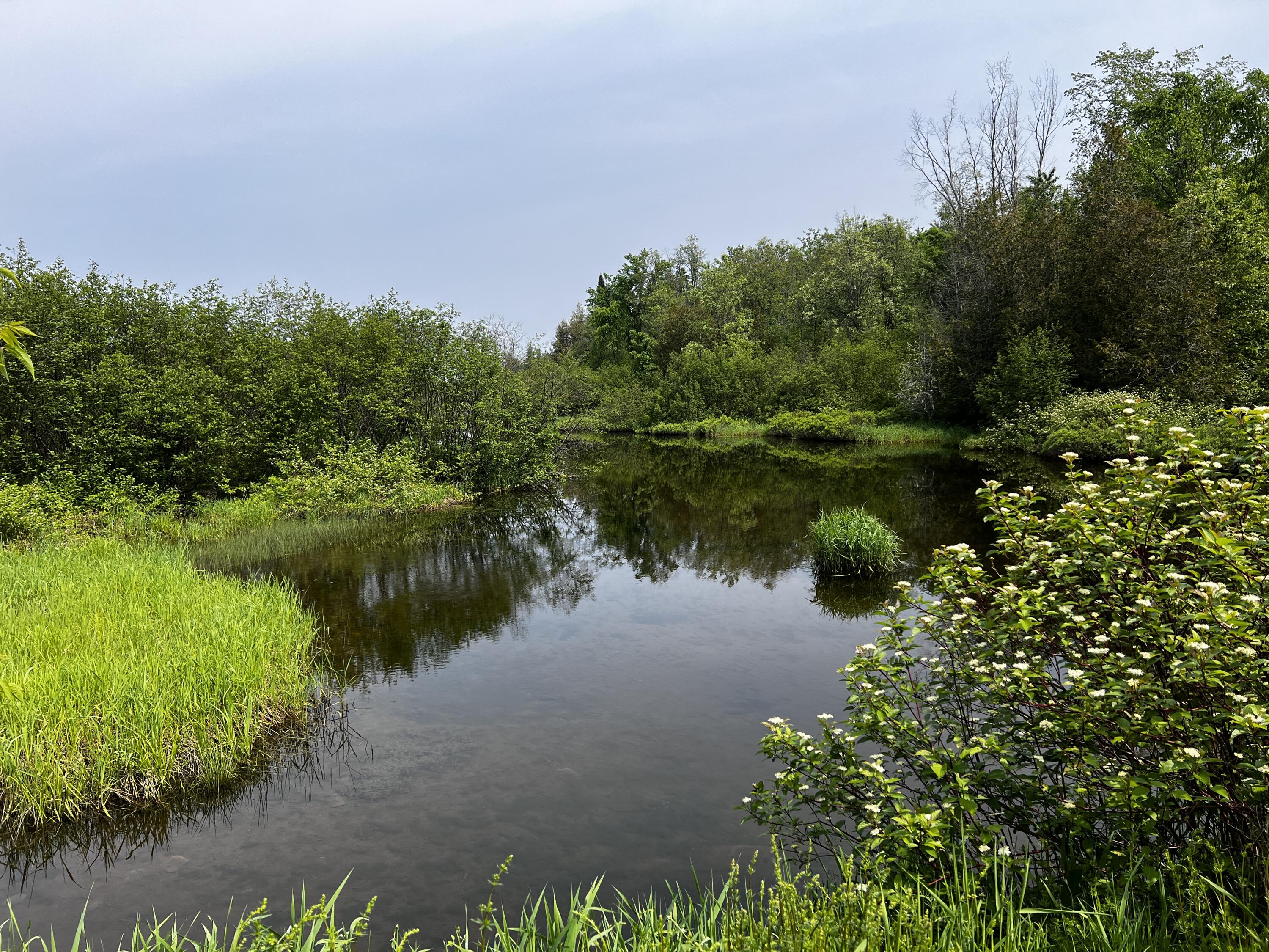 170 Grampys Way Monticello, ME 04760 - Photo 4 of 58 IMG_8366
