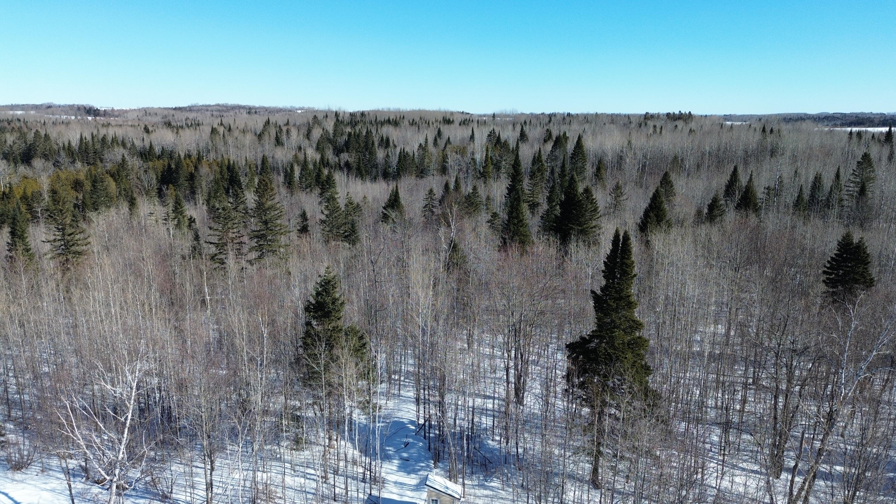 170 Grampys Way Monticello, ME 04760 - Photo 44 of 58 DJI_0676