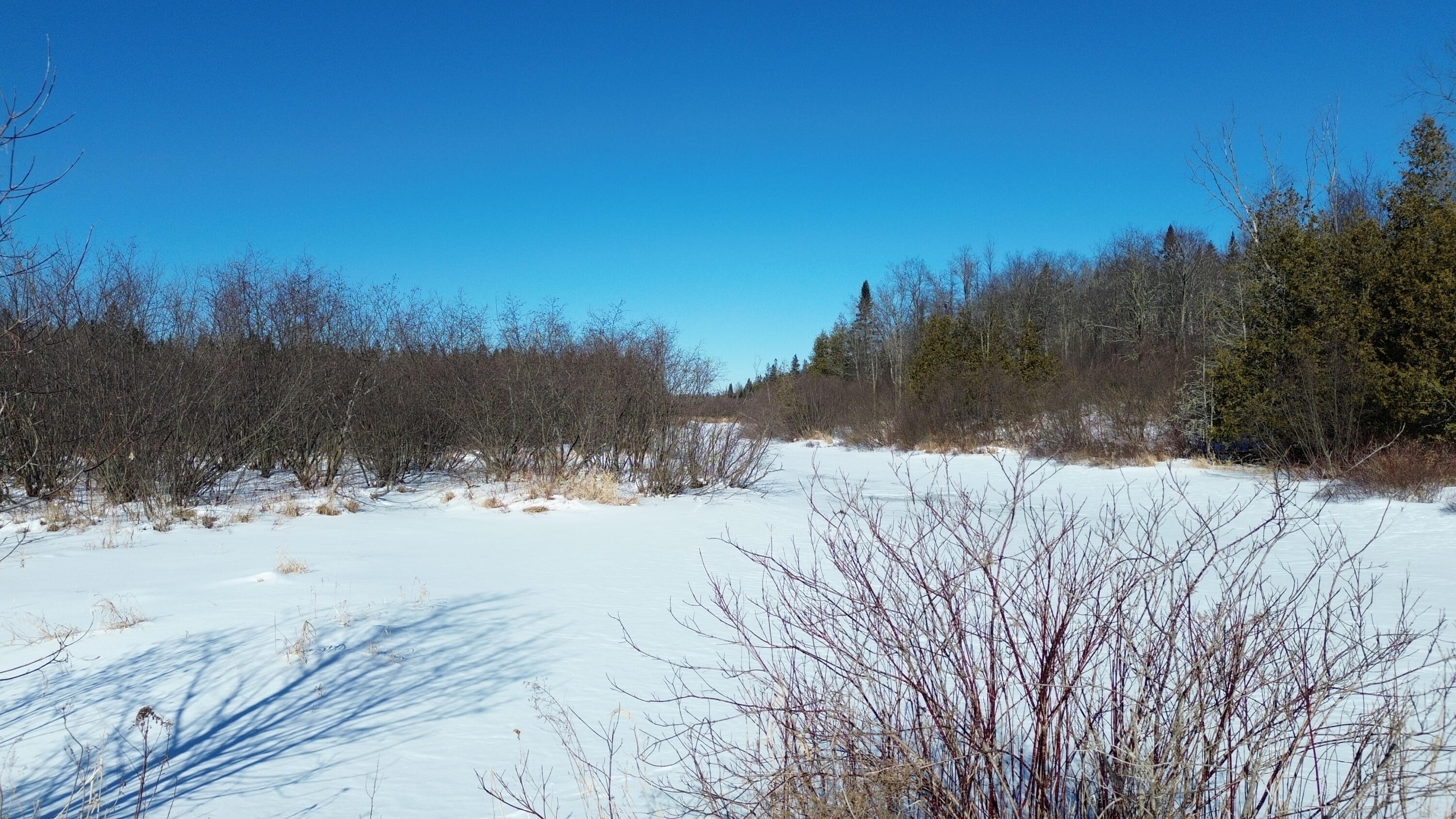 170 Grampys Way Monticello, ME 04760 - Photo 48 of 58 DJI_0689