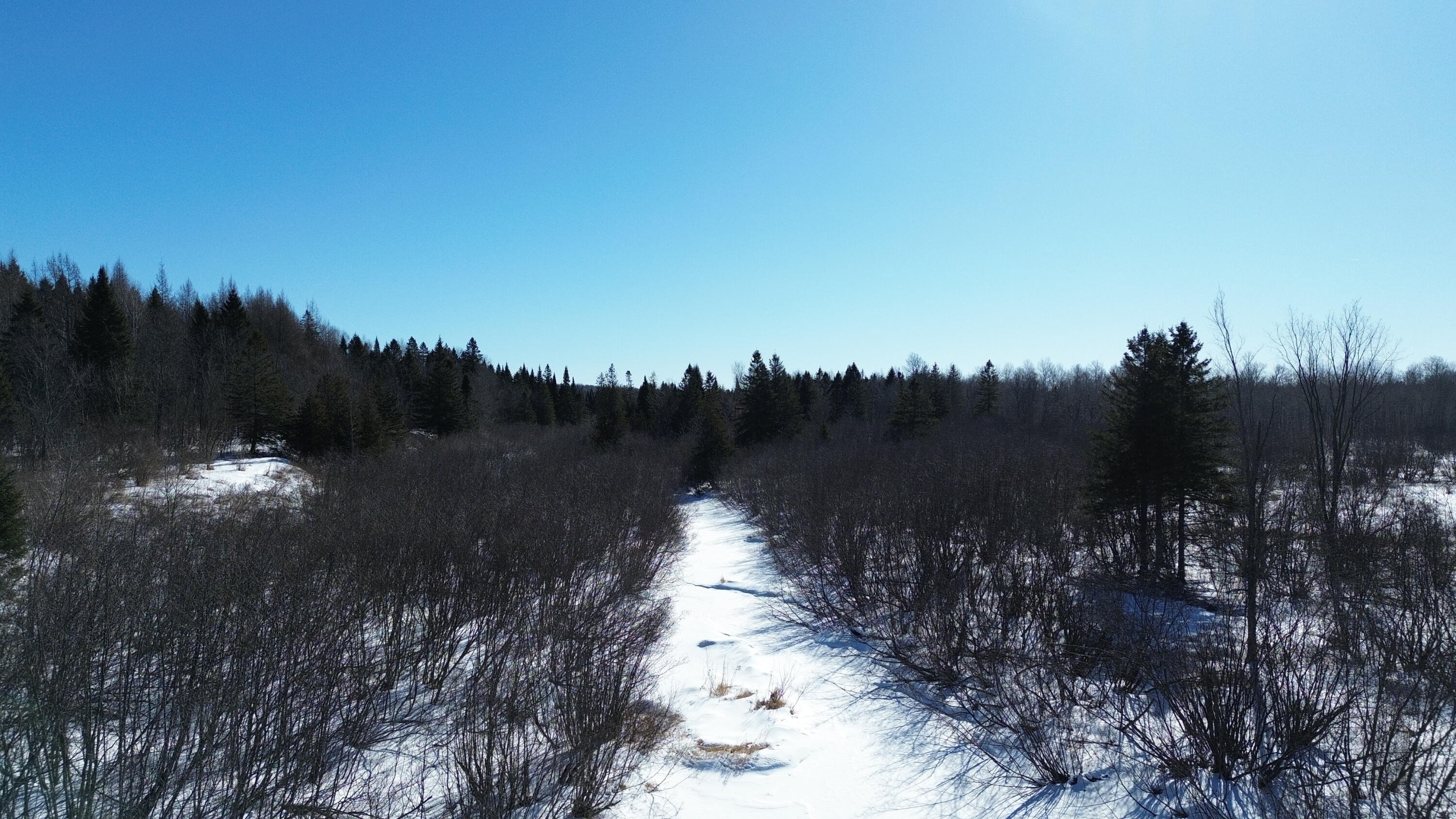 170 Grampys Way Monticello, ME 04760 - Photo 50 of 58 DJI_0692