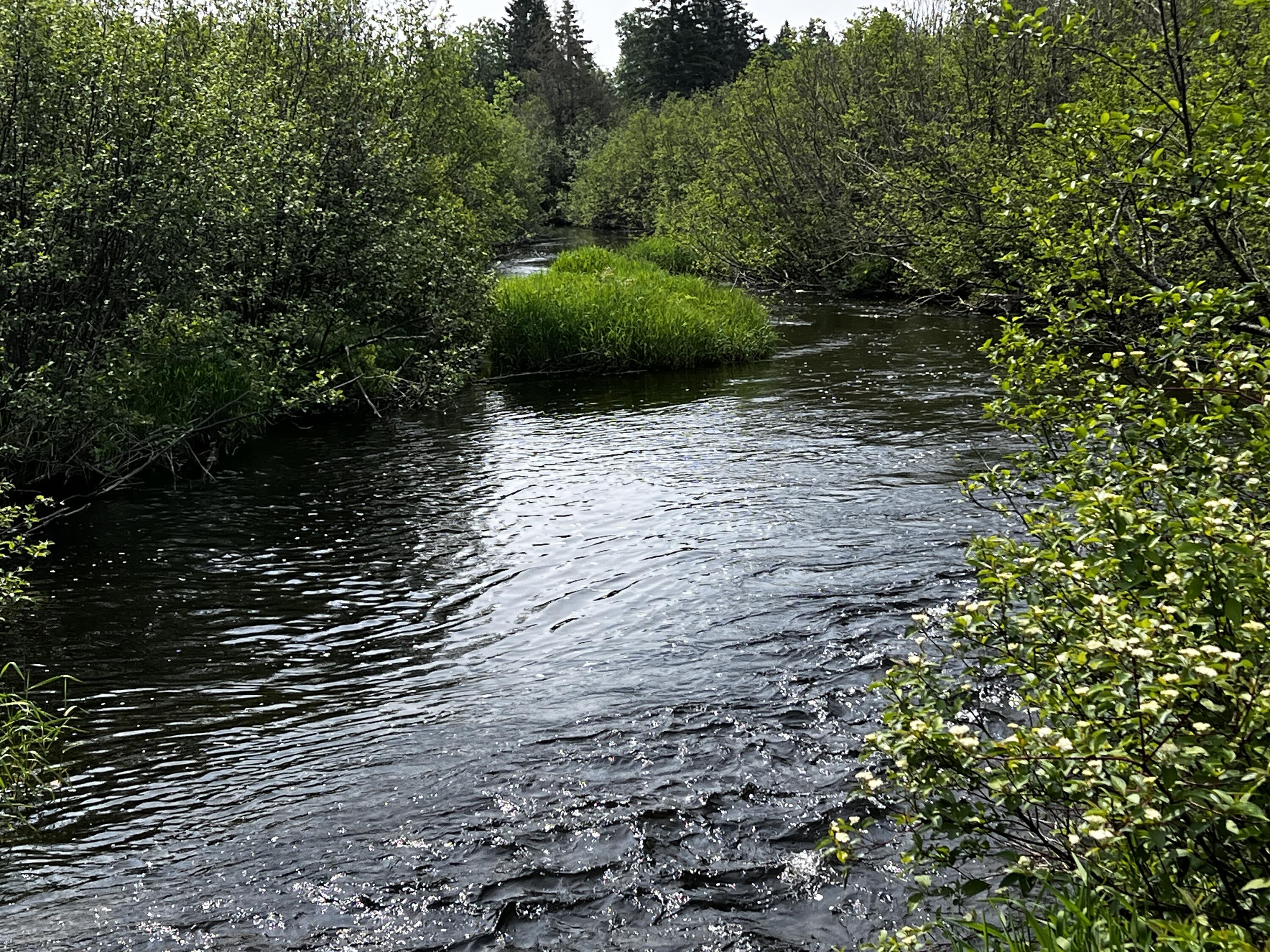 170 Grampys Way Monticello, ME 04760 - Photo 5 of 58 IMG_8367