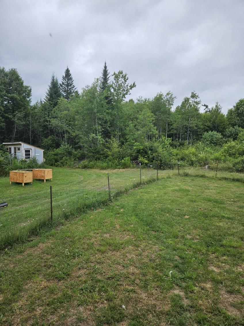 170 Grampys Way Monticello, ME 04760 - Photo 55 of 58 yard 5