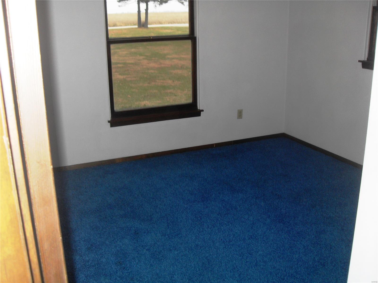 22821 St Rose Road Highland, IL 62249 - Photo 14 of 52