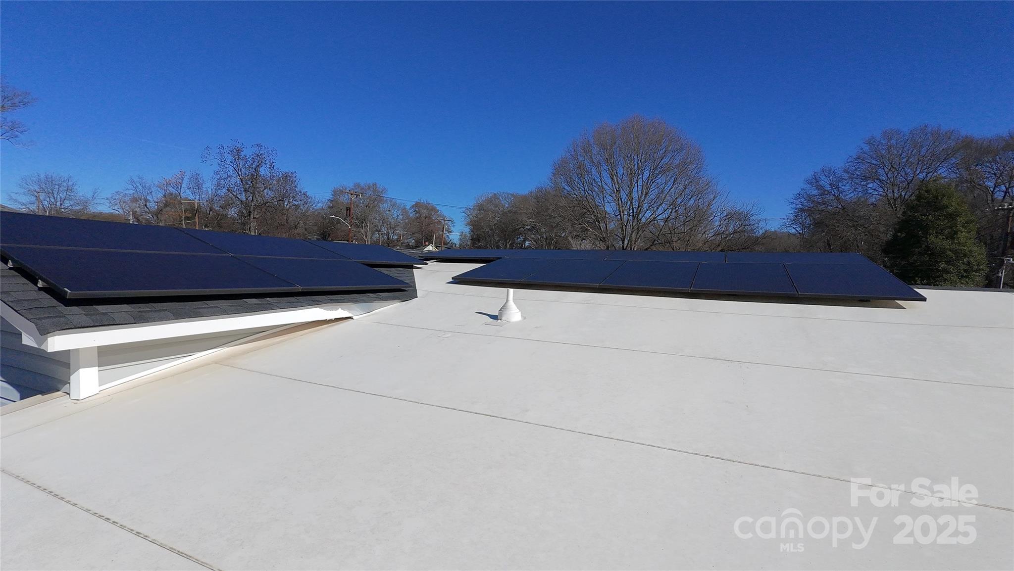 202 Williamson Street Fort Mill, SC 29715 - Photo 24 of 24 a view of a back yard of the house