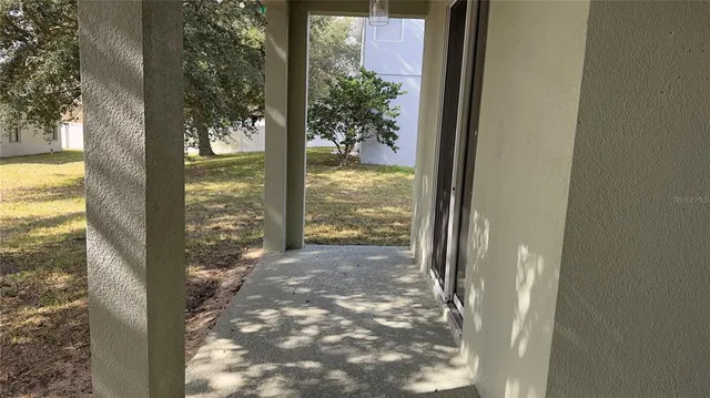 a view of a large tree in front of a house