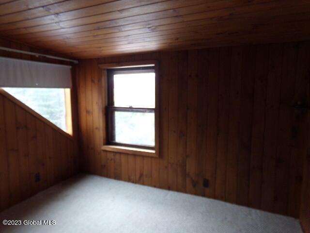 18 Owens Road Minerva, NY 12857 - Photo 21 of 60 102_6589