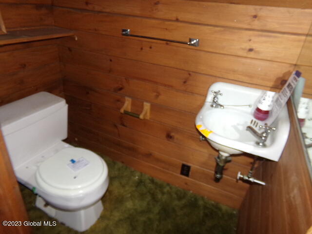 18 Owens Road Minerva, NY 12857 - Photo 23 of 60 102_6591