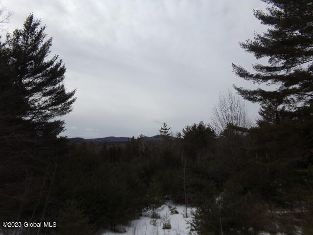 18 Owens Road Minerva, NY 12857 - Photo 45 of 60 102_6614