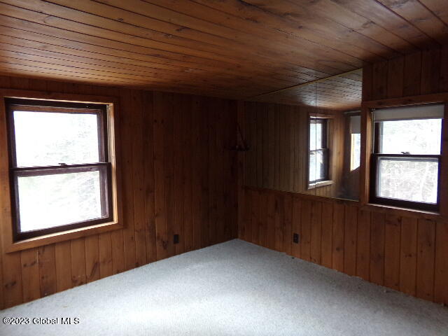 18 Owens Road Minerva, NY 12857 - Photo 50 of 60 102_6619