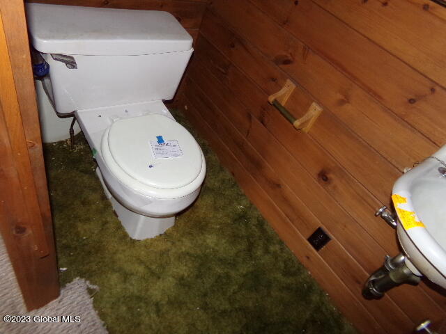 18 Owens Road Minerva, NY 12857 - Photo 52 of 60 102_6621