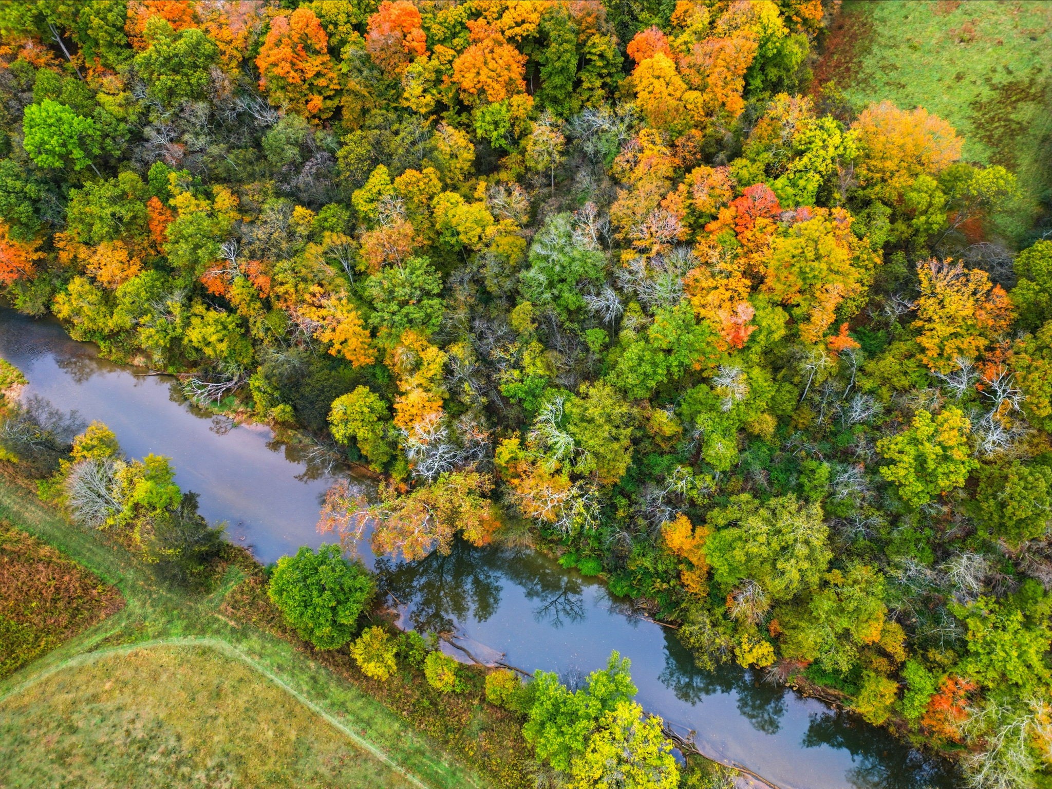 3863 Felts Road Cedar Hill, TN 37032 - Photo 29 of 32 a view of a yard