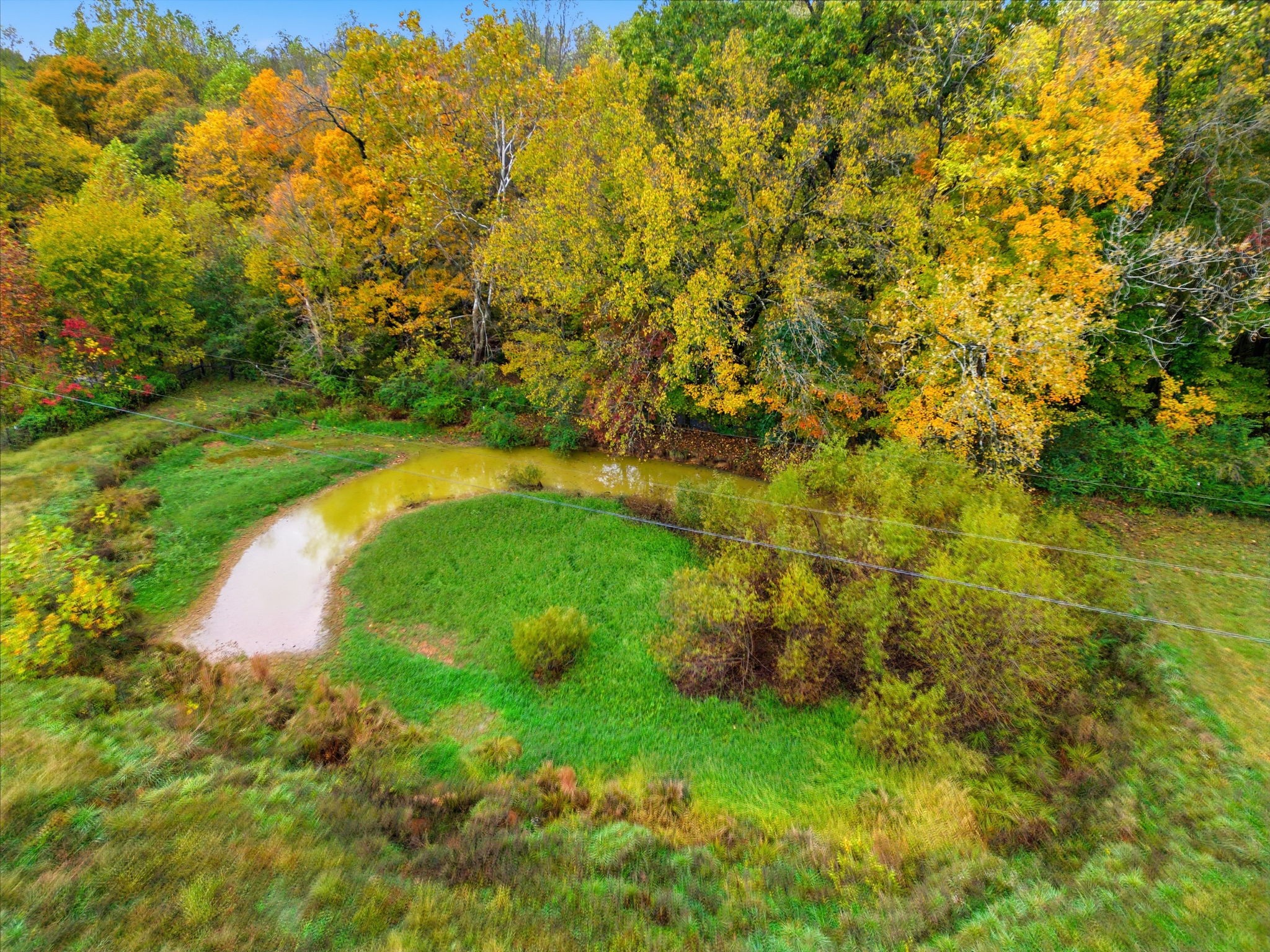 3863 Felts Road Cedar Hill, TN 37032 - Photo 30 of 32 a view of a lake with a garden