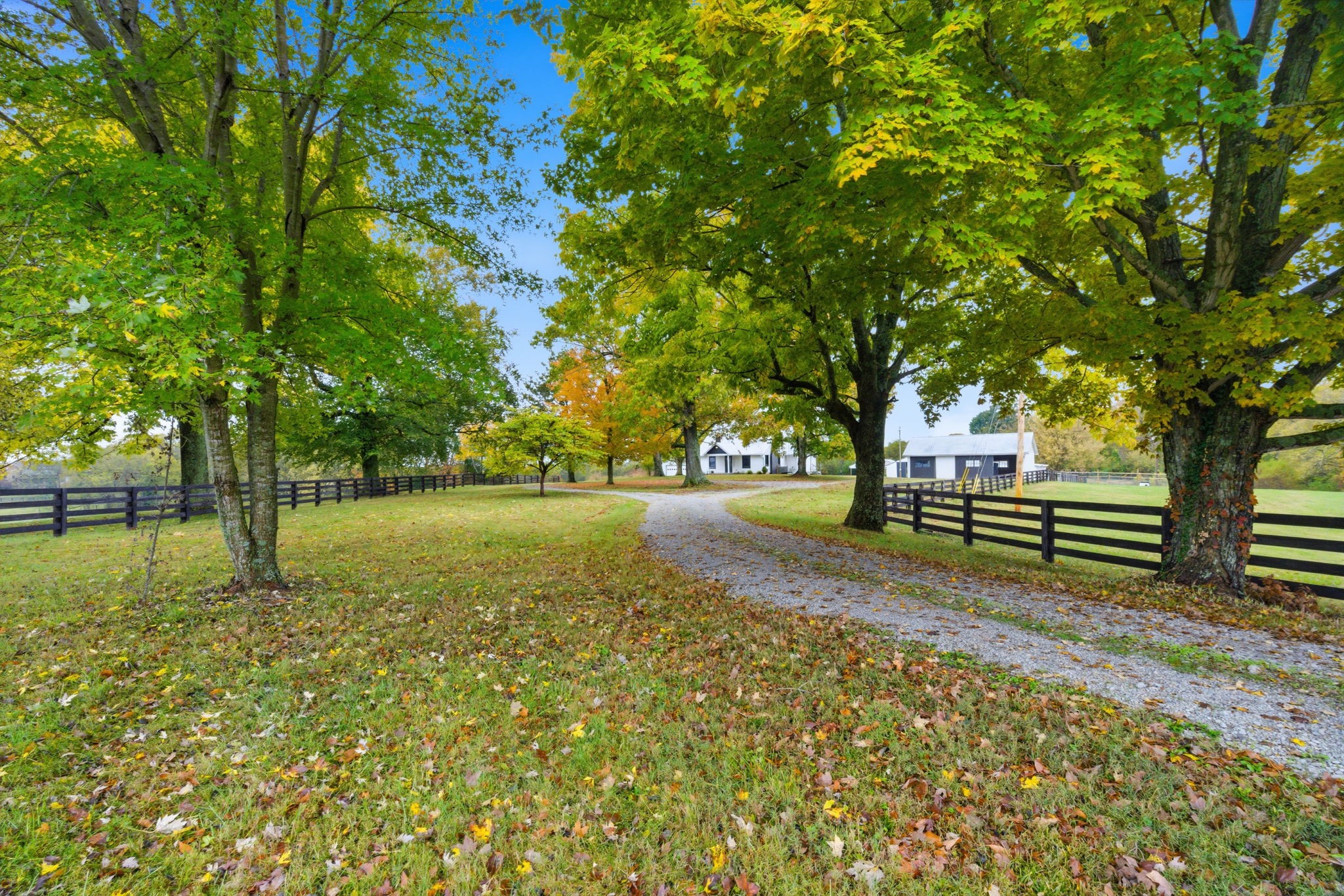 3863 Felts Road Cedar Hill, TN 37032 - Photo 5 of 32 a view of backyard with green space