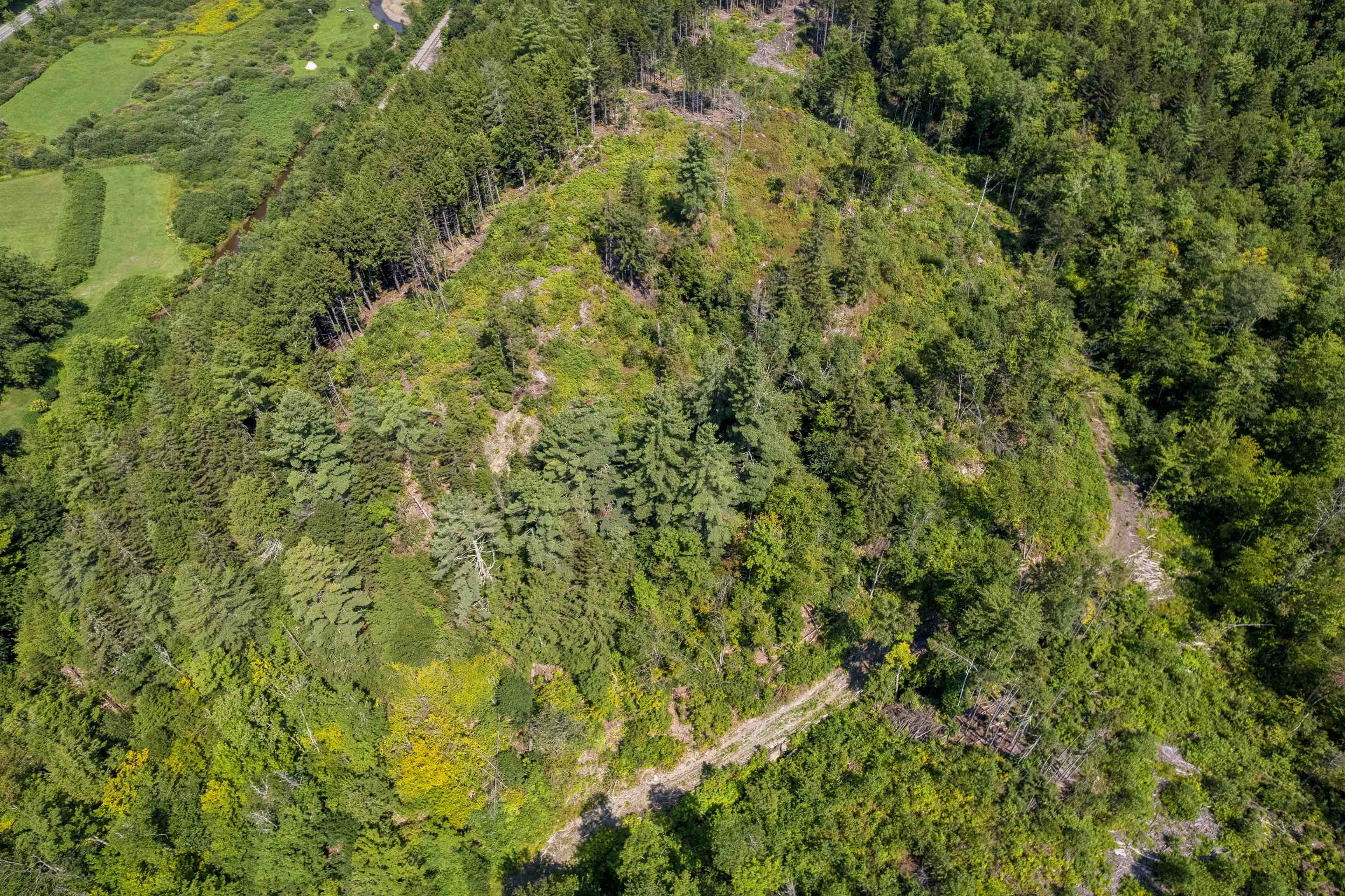 0 Handly Road Roxbury, VT 05669 - Photo 11 of 20 Gallery Image 11