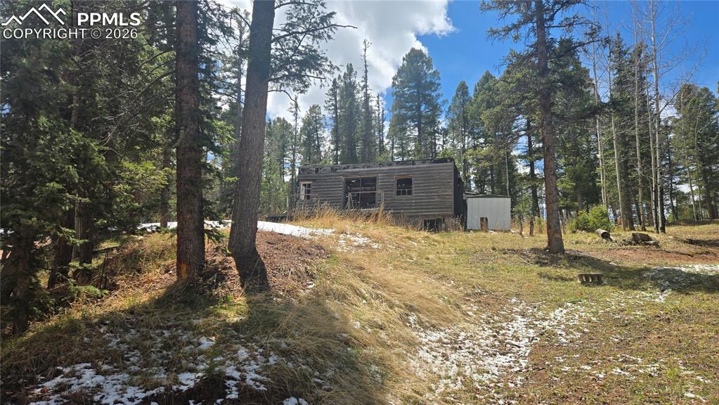 129 Mt Elbert Road Florissant, CO 80816 - Photo 1 of 5 a house with trees in front of it