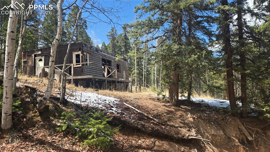 129 Mt Elbert Road Florissant, CO 80816 - Photo 2 of 5 a view of a large yard with plants and large trees