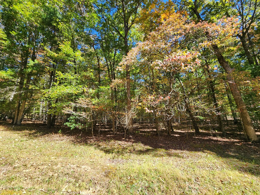103 Cove Lane Murphy, NC 28906 - Photo 11 of 15 a view of yard