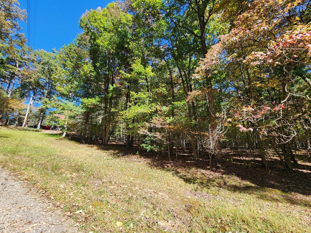 103 Cove Lane Murphy, NC 28906 - Photo 12 of 15 a view of outdoor space yard and trees