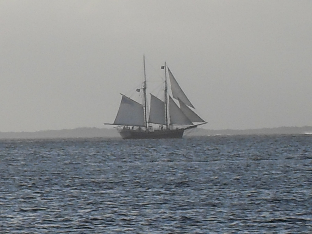 1314 Calder Road Key Largo, FL 33037 - Photo 7 of 9 Enjoy the boats passing by