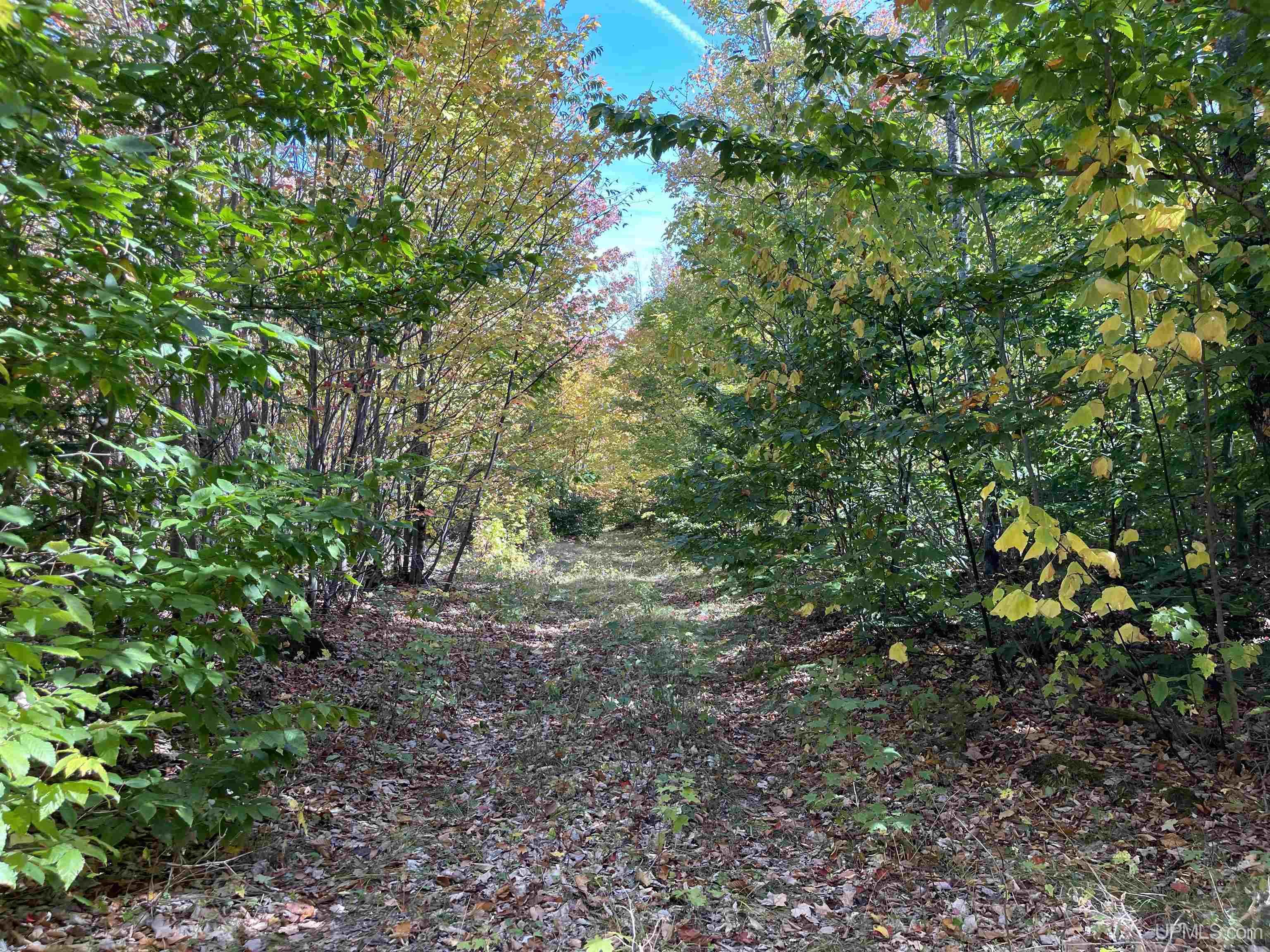 160 Acres Off H-58 Road Seney, MI 49883 - Photo 16 of 26