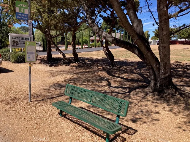 a view of a tree in a yard