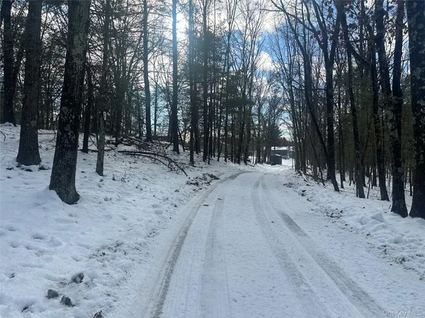 a view of outdoor space with a trees